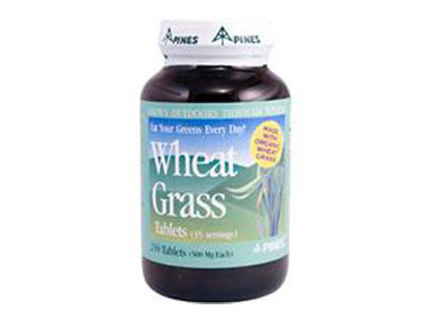 Wheat Grass 小麥草