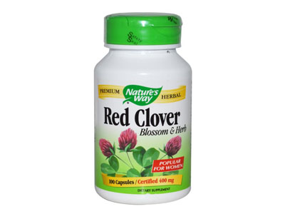 Red Clover 紅花苜蓿