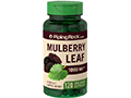 桑葉提純 Mulberry Leaf Extract